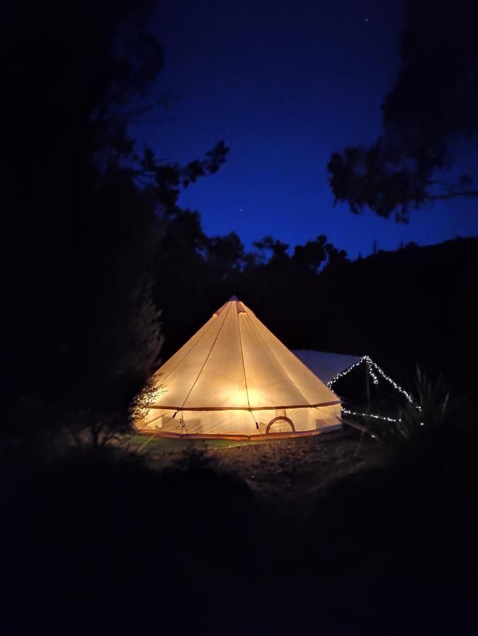 Glamping At Zeehan Bush Camp Extérieur photo