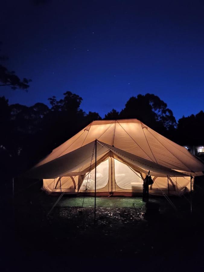 Glamping At Zeehan Bush Camp Extérieur photo