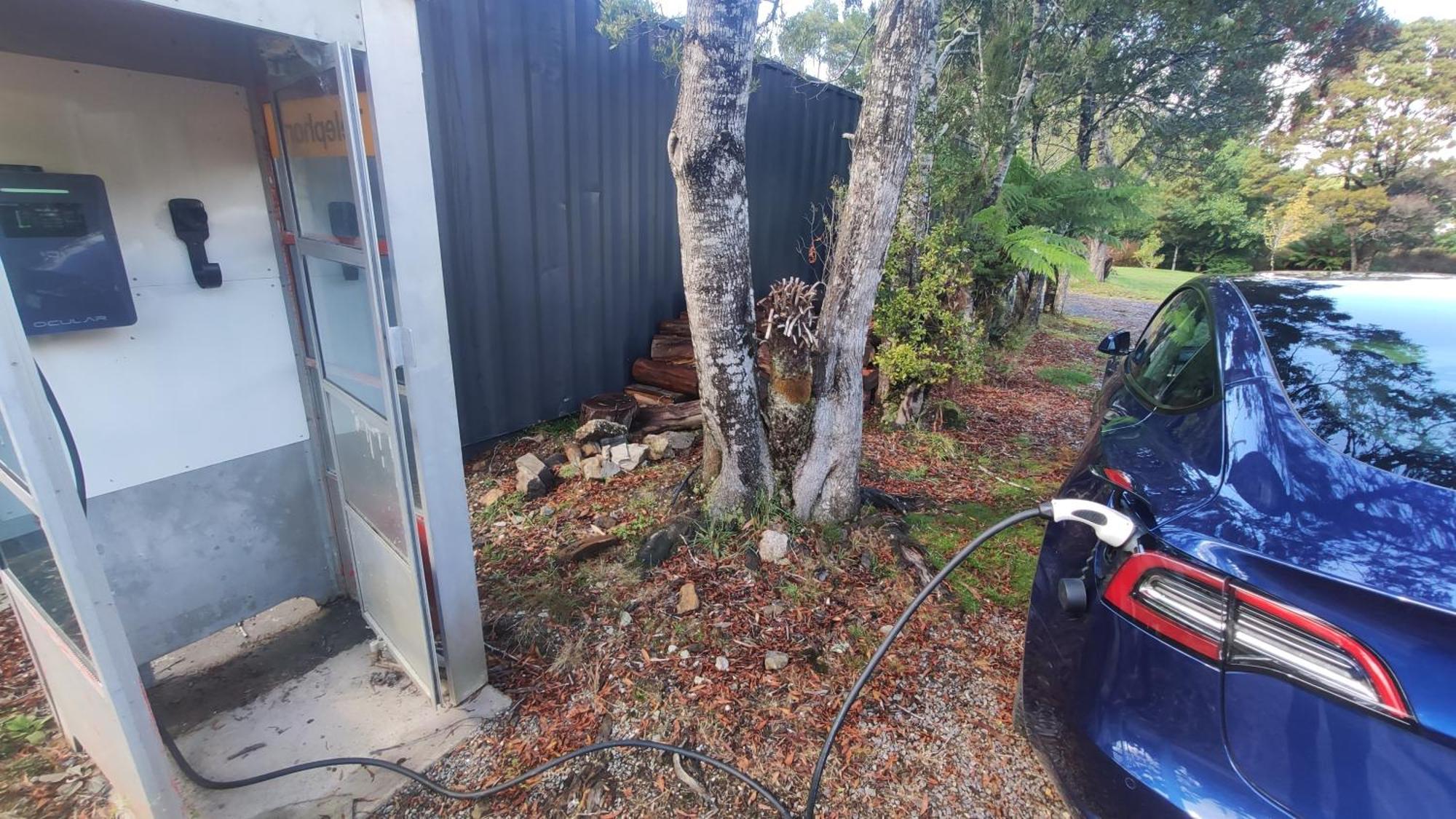 Glamping At Zeehan Bush Camp Extérieur photo