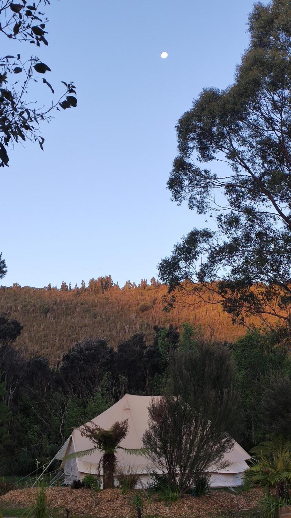 Glamping At Zeehan Bush Camp Extérieur photo