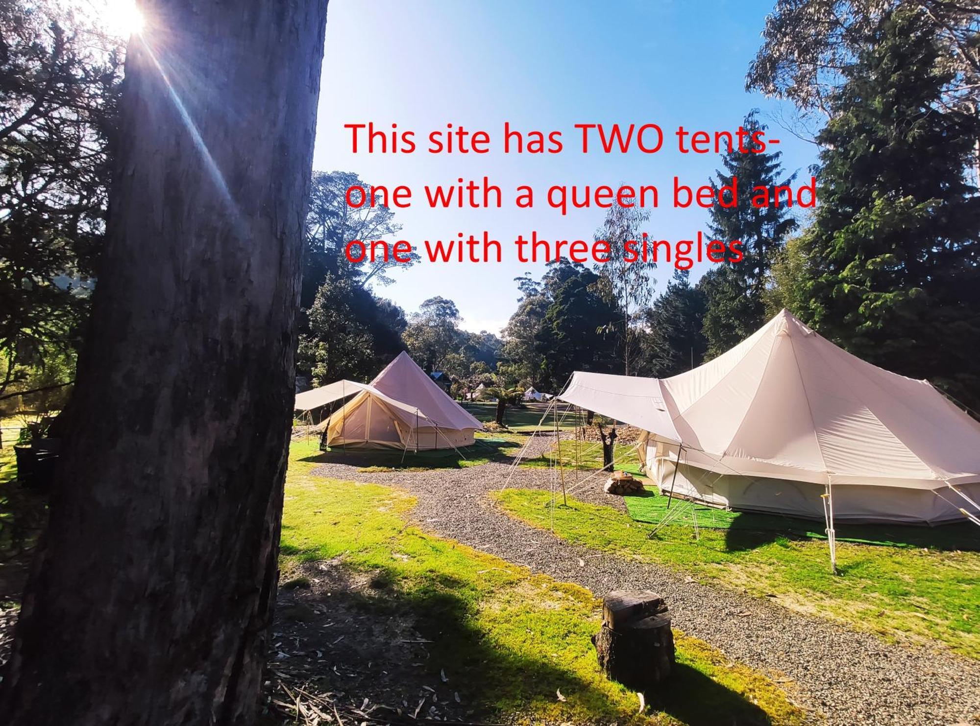 Glamping At Zeehan Bush Camp Extérieur photo