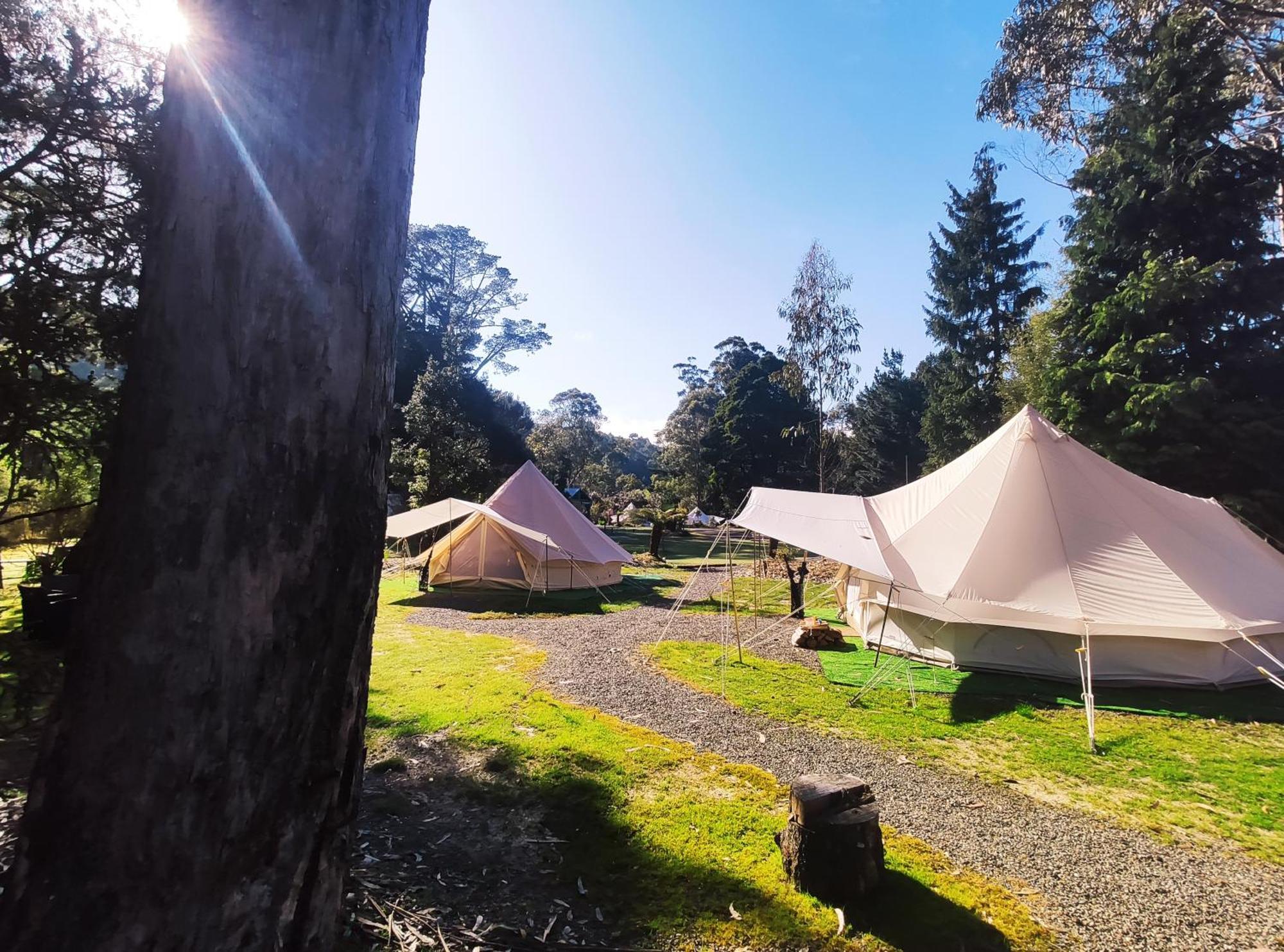 Glamping At Zeehan Bush Camp Extérieur photo