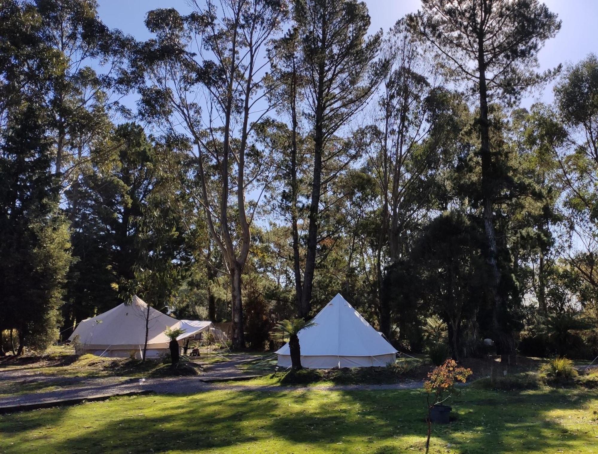 Glamping At Zeehan Bush Camp Extérieur photo