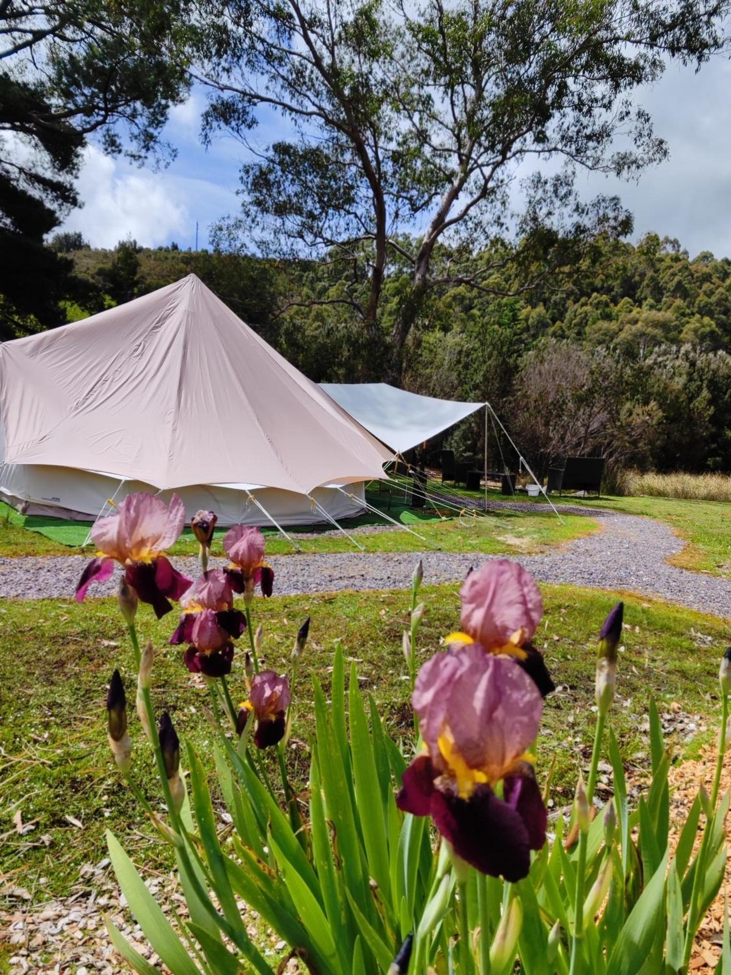 Glamping At Zeehan Bush Camp Extérieur photo