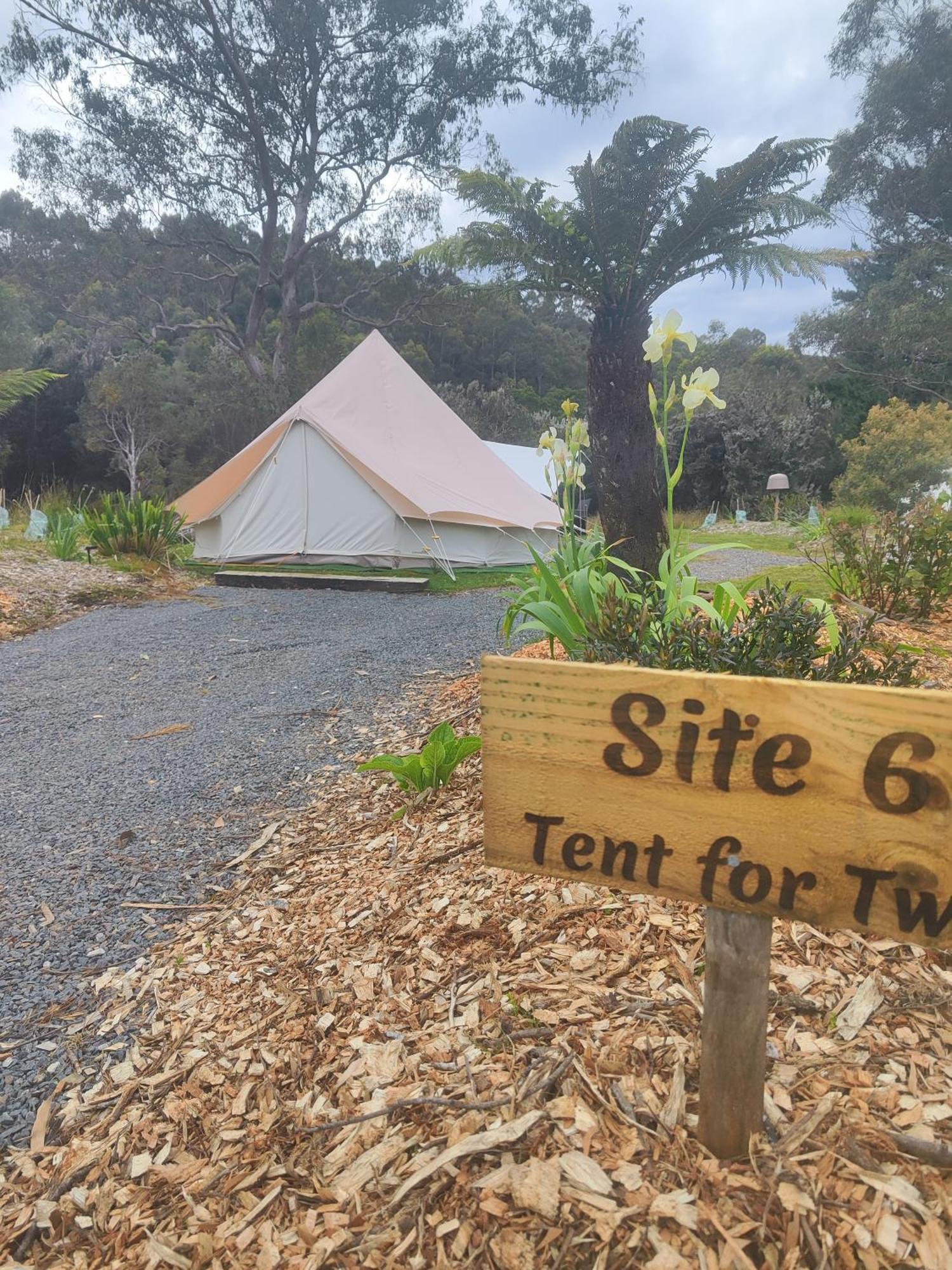 Glamping At Zeehan Bush Camp Extérieur photo