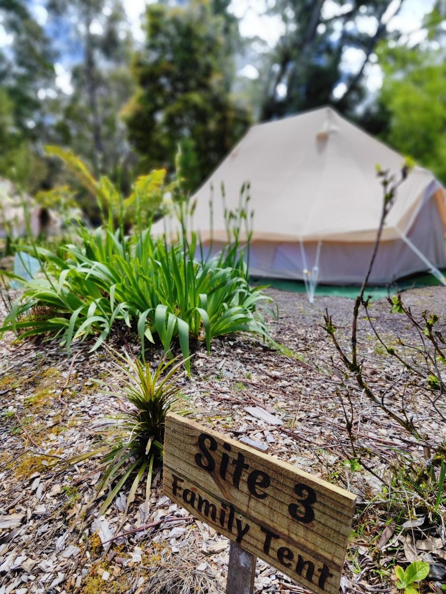 Glamping At Zeehan Bush Camp Extérieur photo