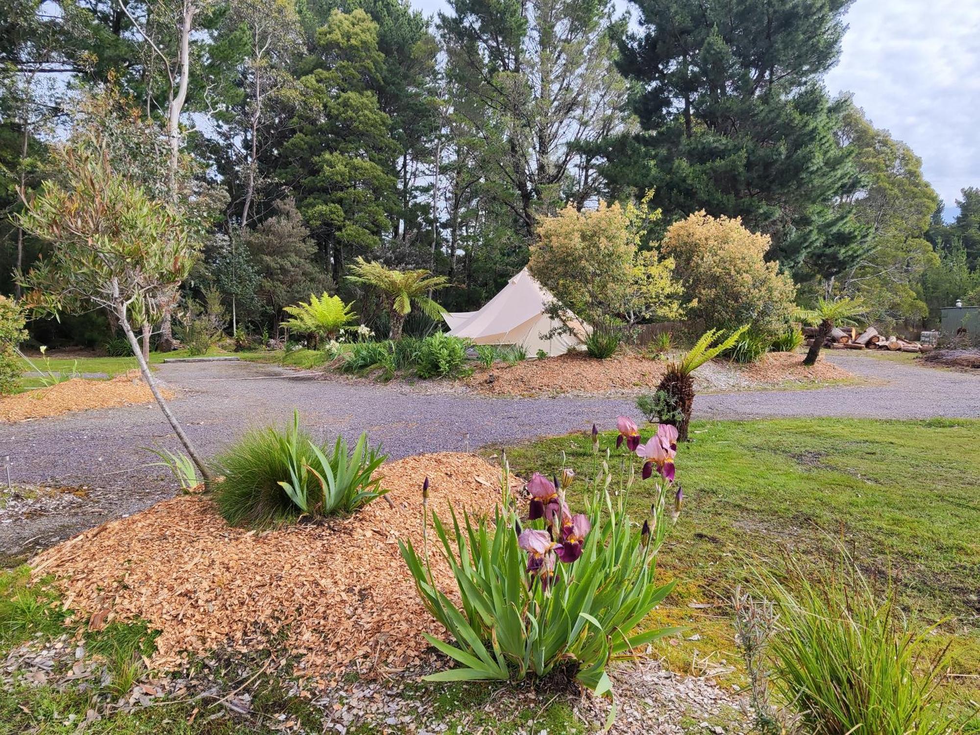 Glamping At Zeehan Bush Camp Extérieur photo