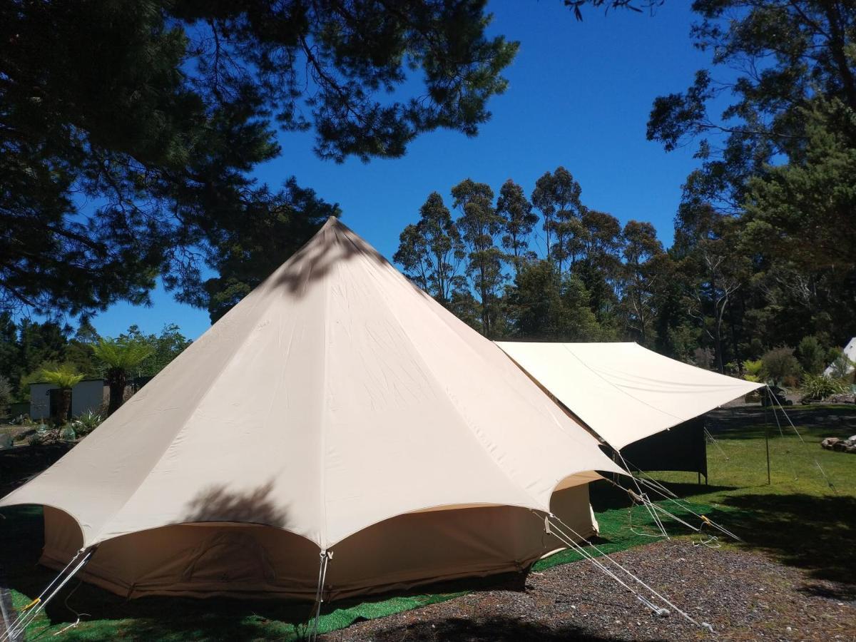 Glamping At Zeehan Bush Camp Extérieur photo