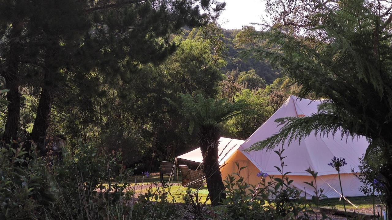 Glamping At Zeehan Bush Camp Extérieur photo