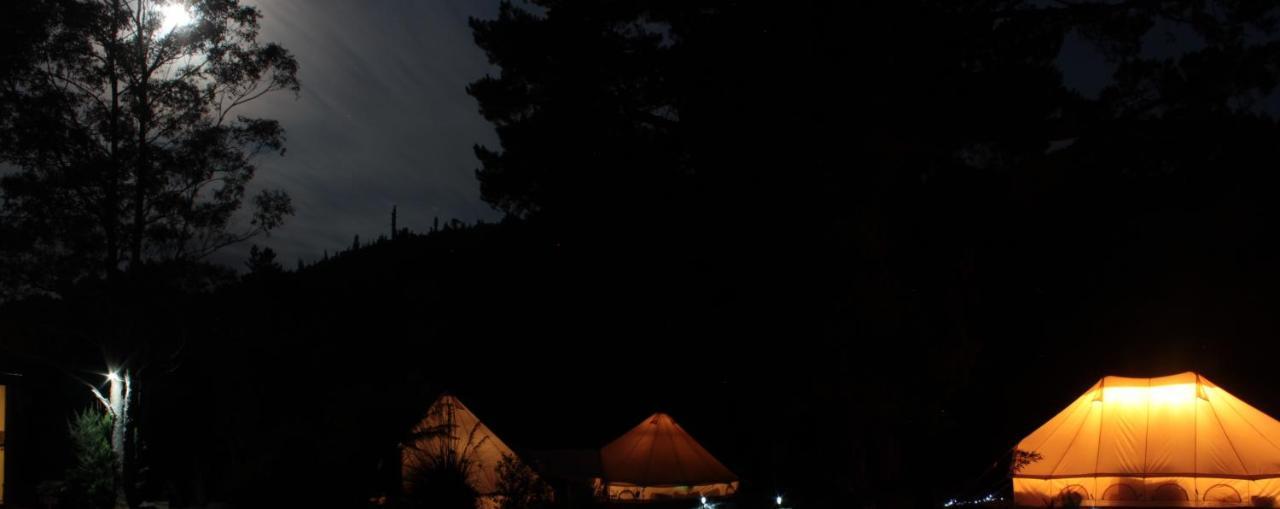 Glamping At Zeehan Bush Camp Extérieur photo