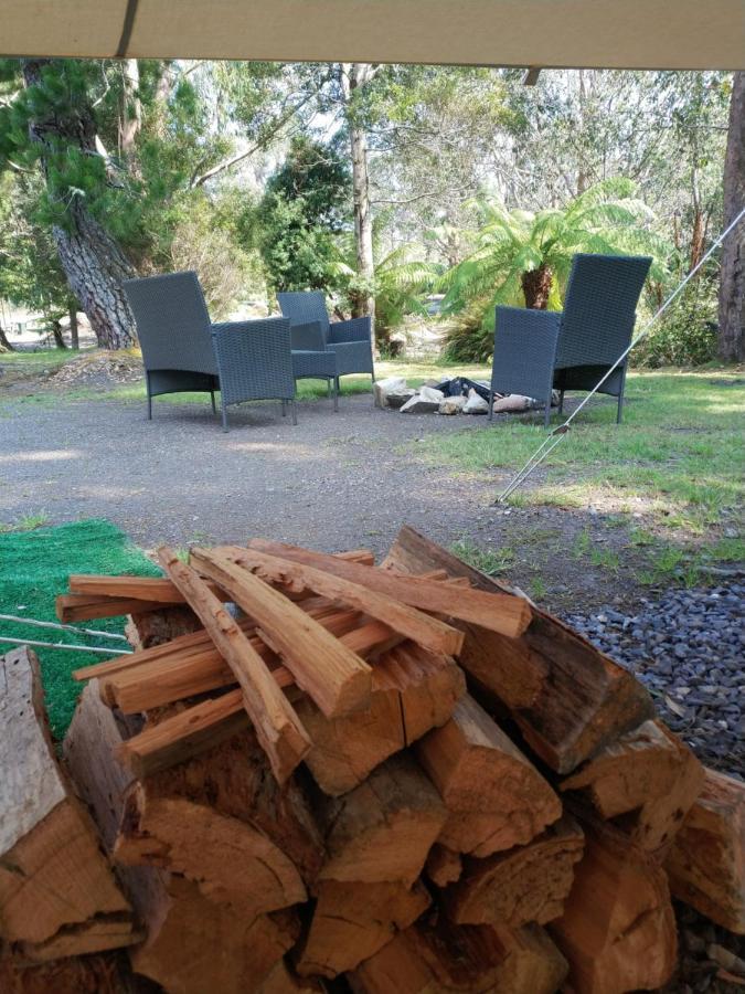 Glamping At Zeehan Bush Camp Extérieur photo